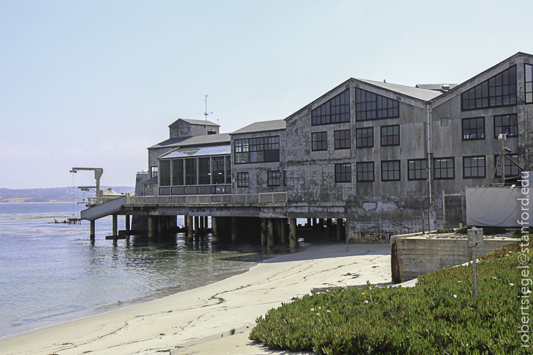 hopkins marine station